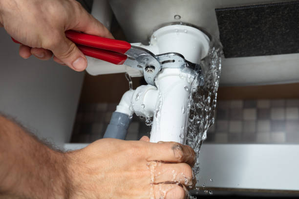 Water damage restoration mold remediation in MT