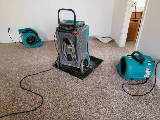 Best Professional water damage repair  in South Browning, MT