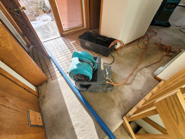 Best Flood restoration services  in South Browning, MT