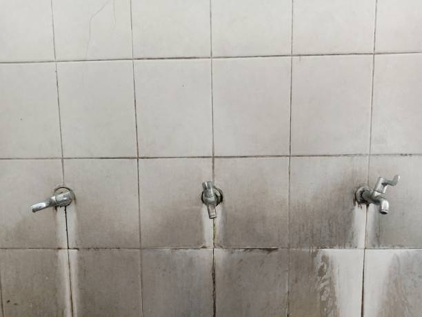 Best Ceiling water damage repair  in South Browning, MT