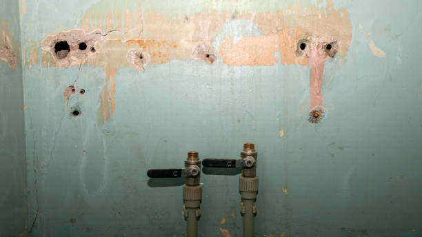 Best Emergency water extraction  in South Browning, MT