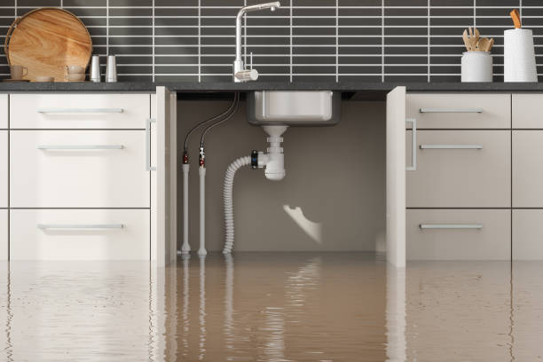 Best 24-hour water damage restoration  in South Browning, MT