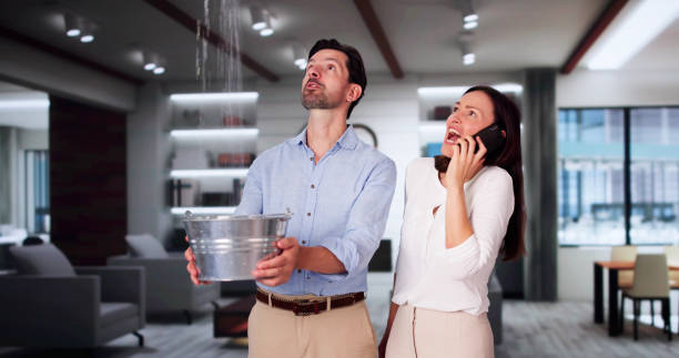 Best Water damage restoration company  in South Browning, MT