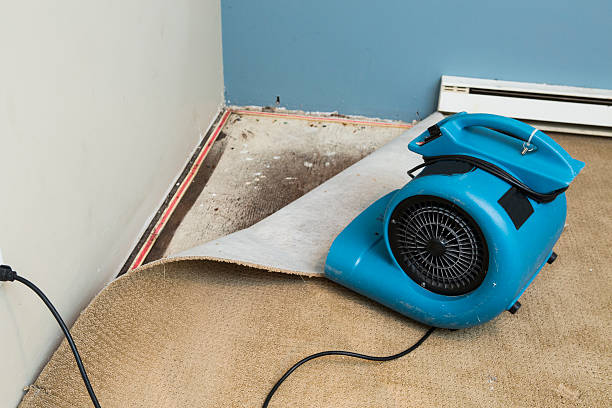 Local water damage restoration in MT
